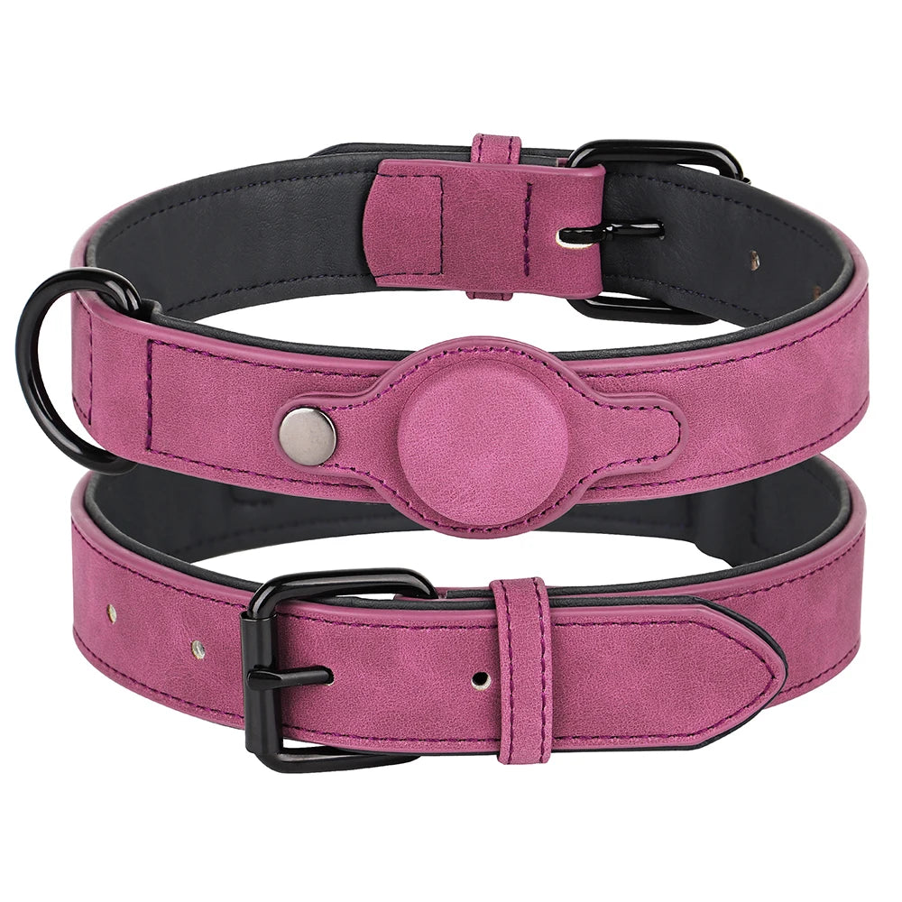 Zoomie Pawz Leather Anti-lost Tag Dog Collar