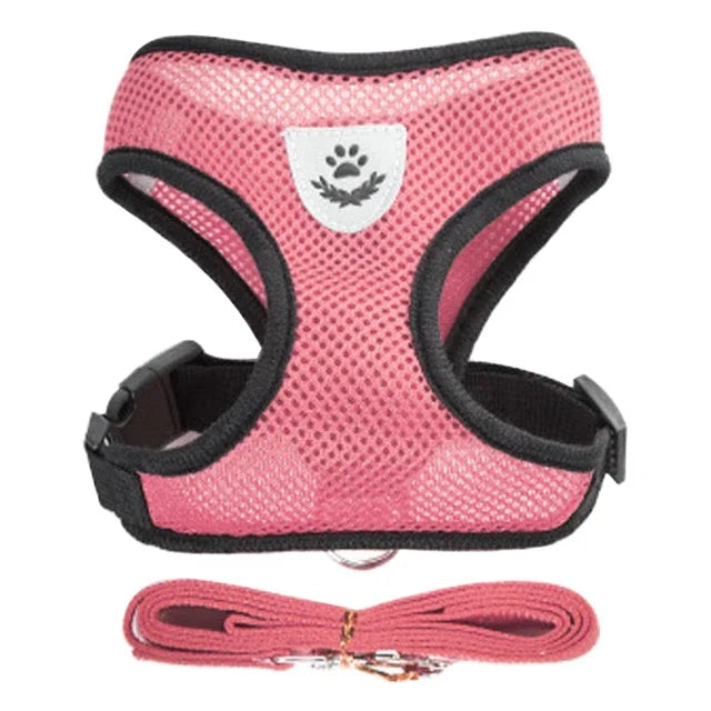 Zoomie Pawz Cat Harness and Leash