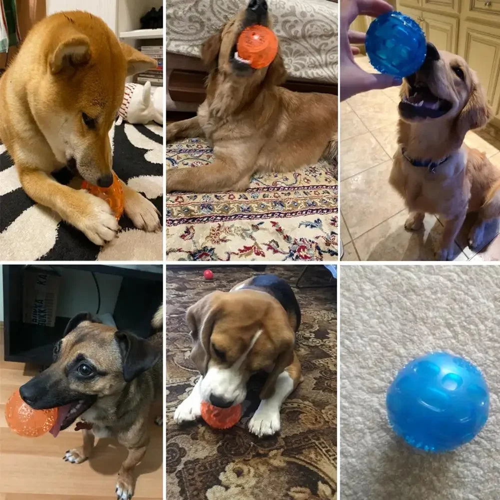 Dog Games Interactive Toys Ball Toys Anti Bite Squeak Teeth Cleaning Chewing Car Model Training Accessories Pet Products