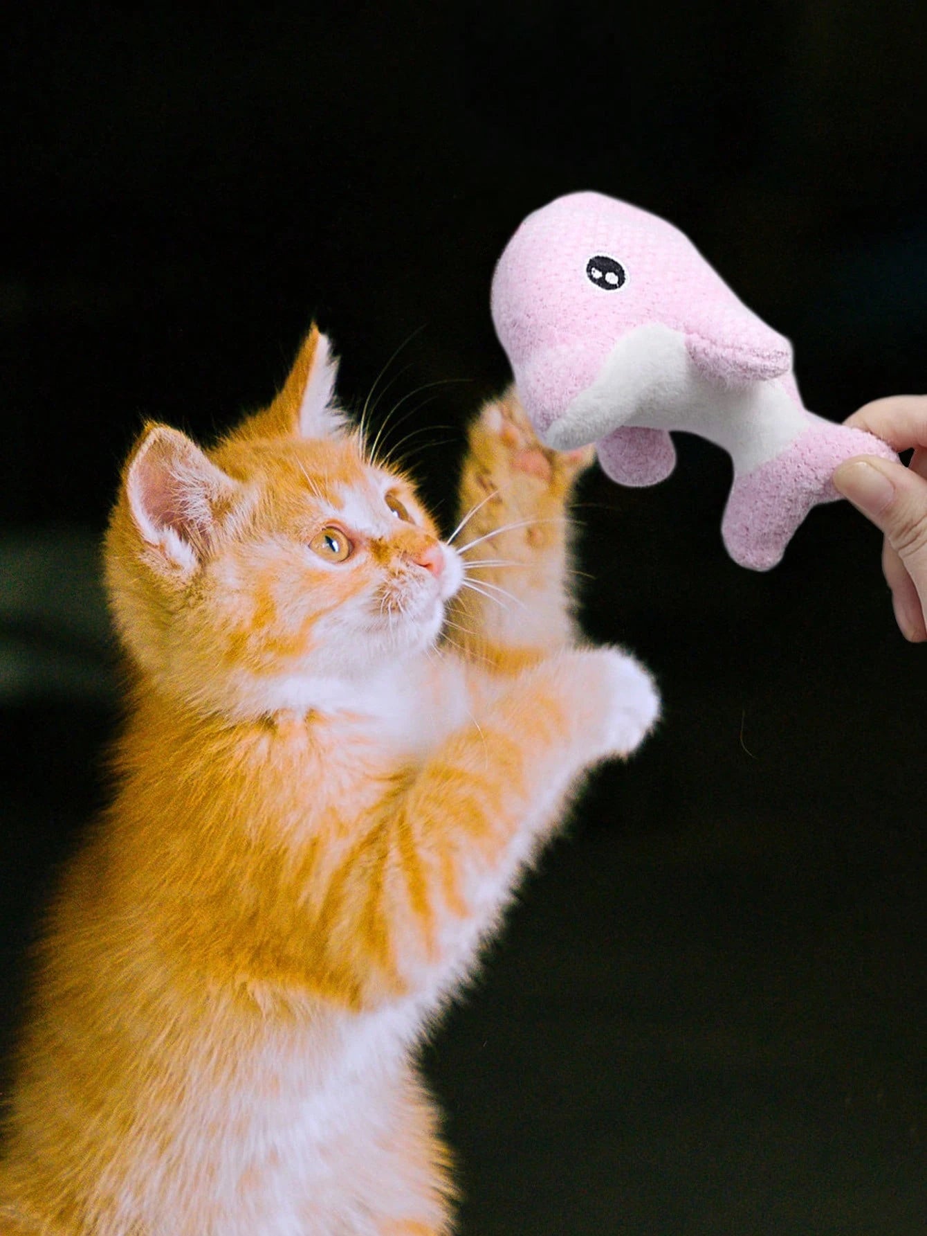 Whale Pet Toy, Cat Teaser Toy, Suitable for Kittens' Daily Boredom Relief and Interaction