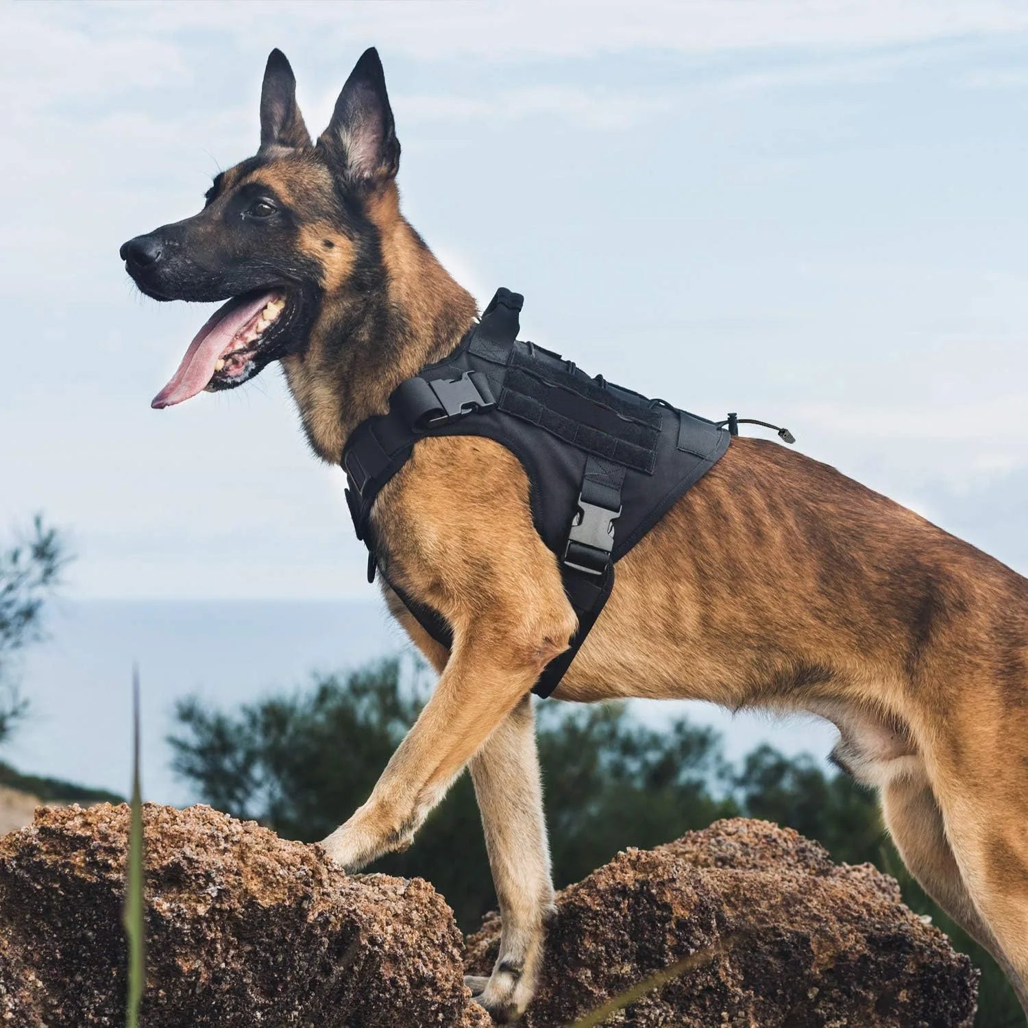 Zoomie Pawz Tactical Heavy Duty Dog Harness