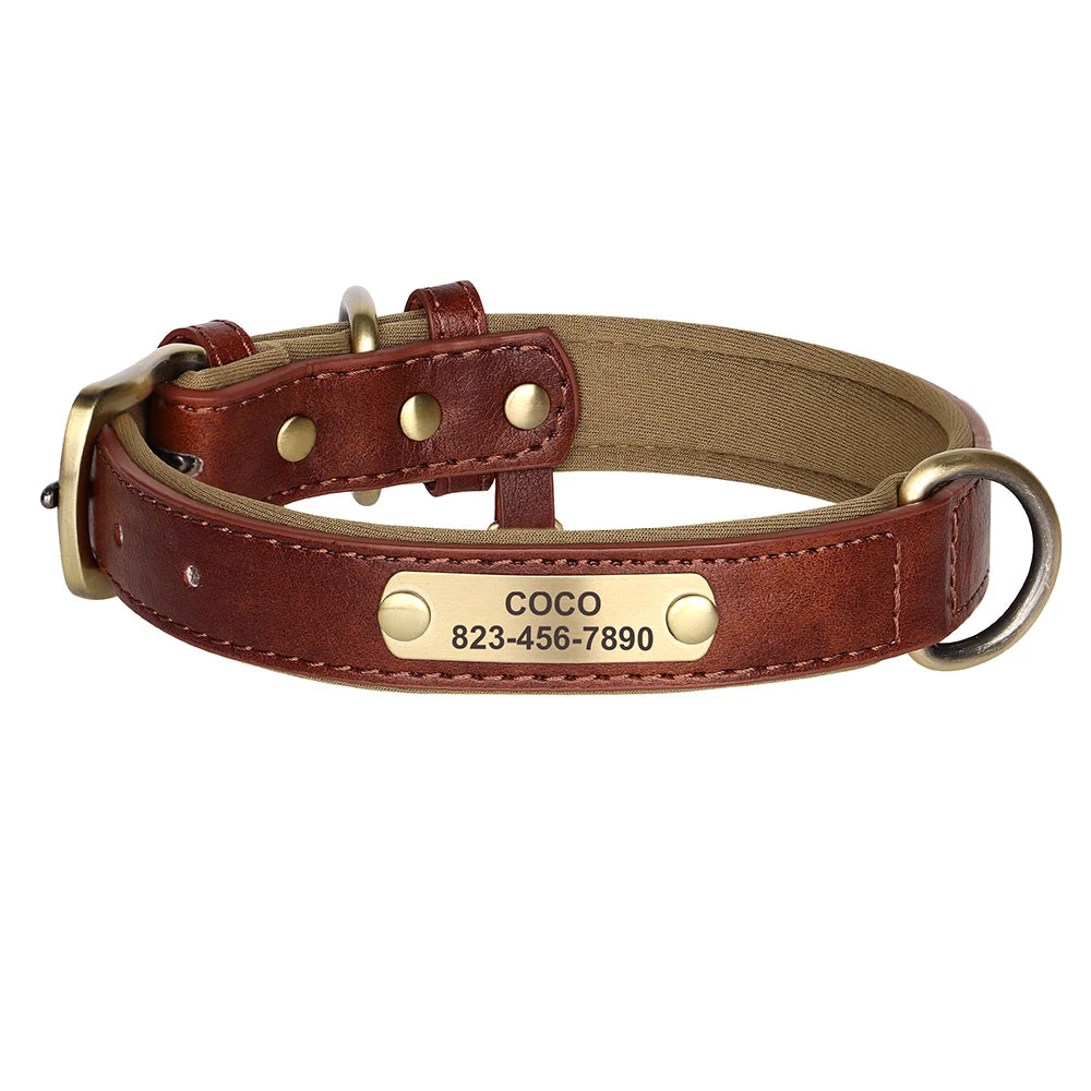 Zoomie Pawz Personalized Leather Dog Collar with Free Engraving