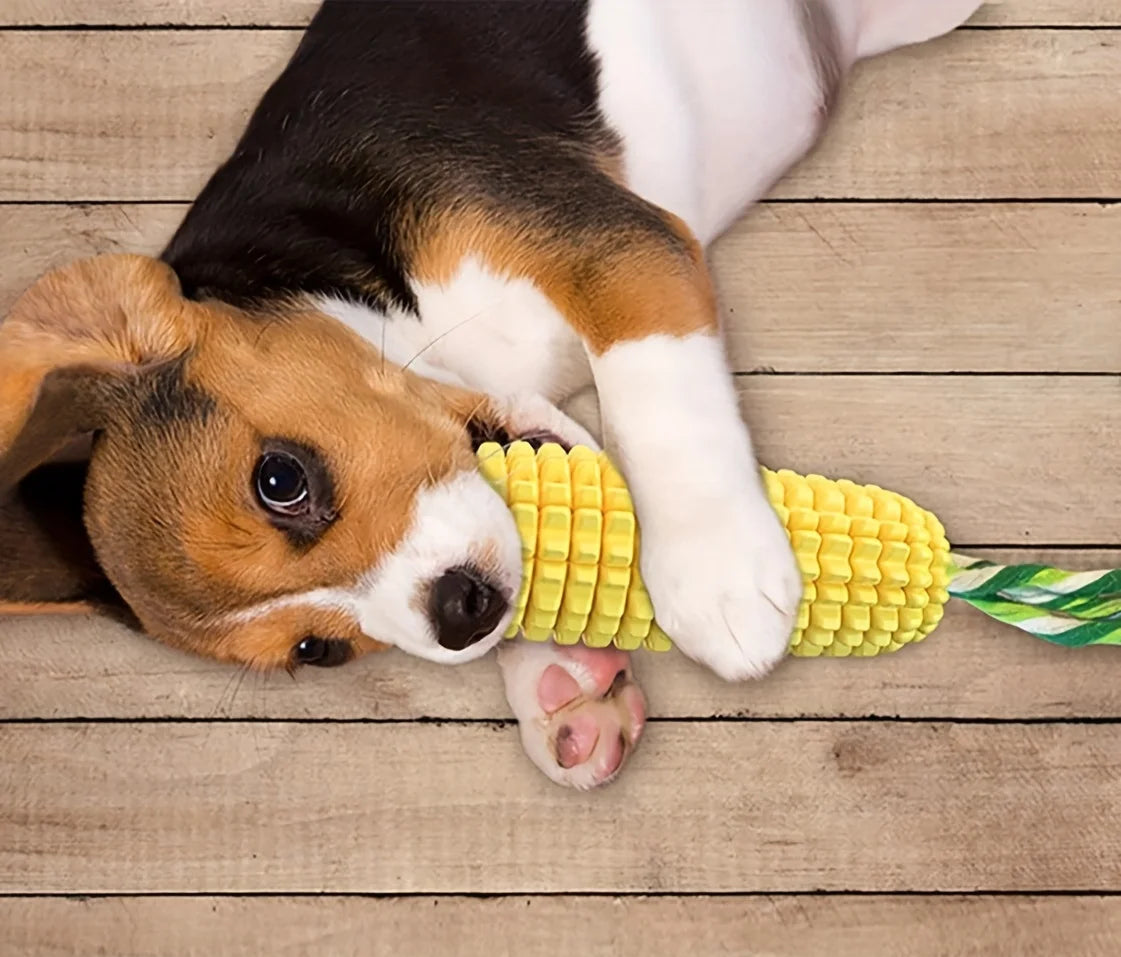 Dog playing with a corn-cob chew toy 