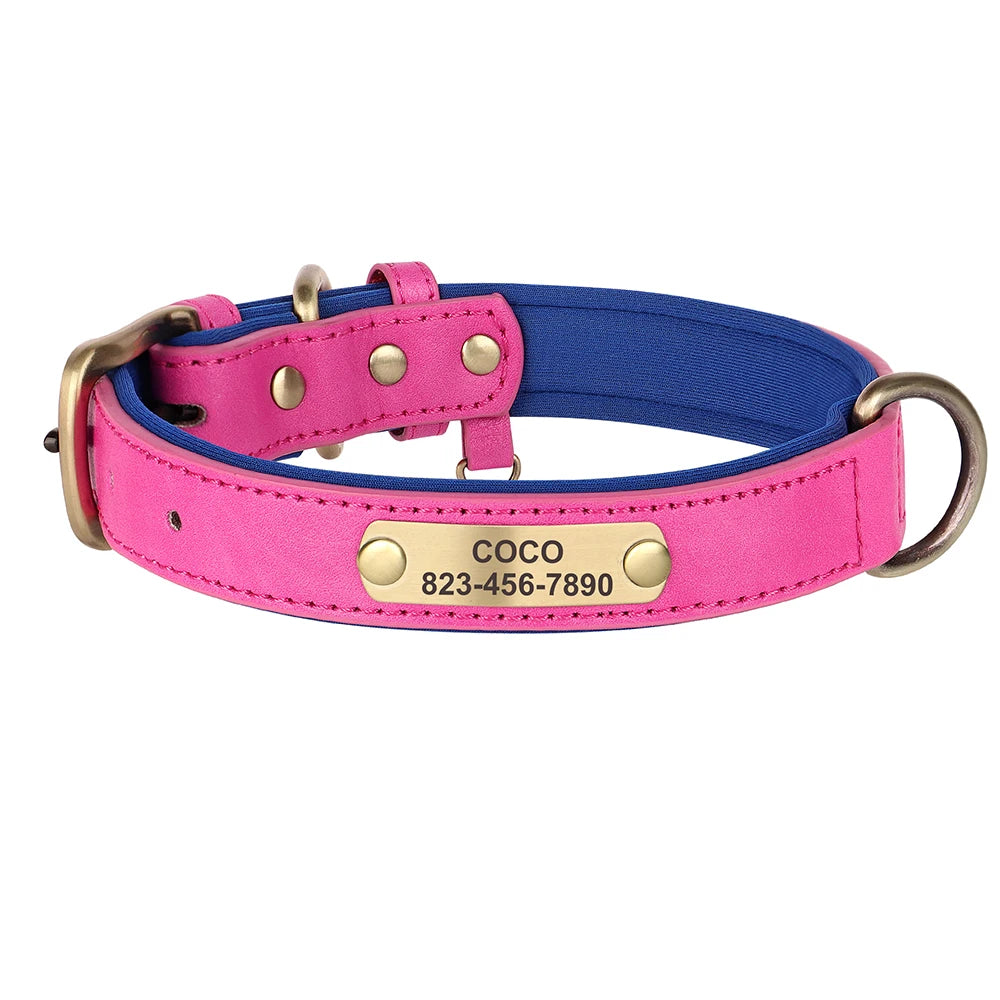 Zoomie Pawz Personalized Leather Dog Collar with Free Engraving